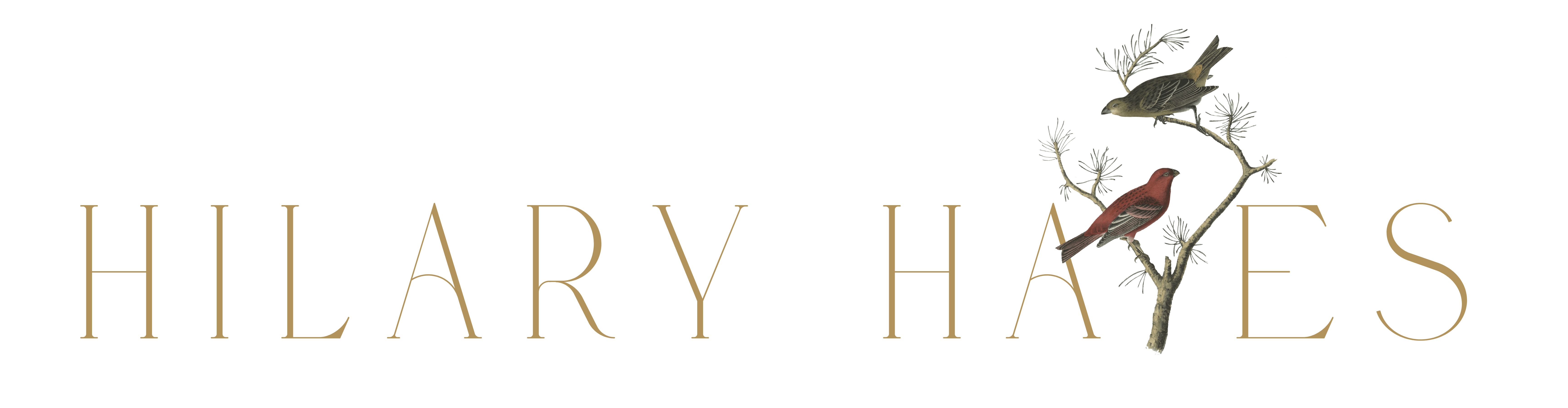 hilary hayes logo