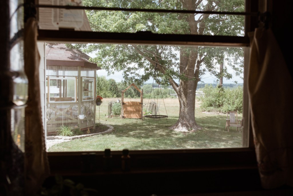 Garden and swing in a backyard. 